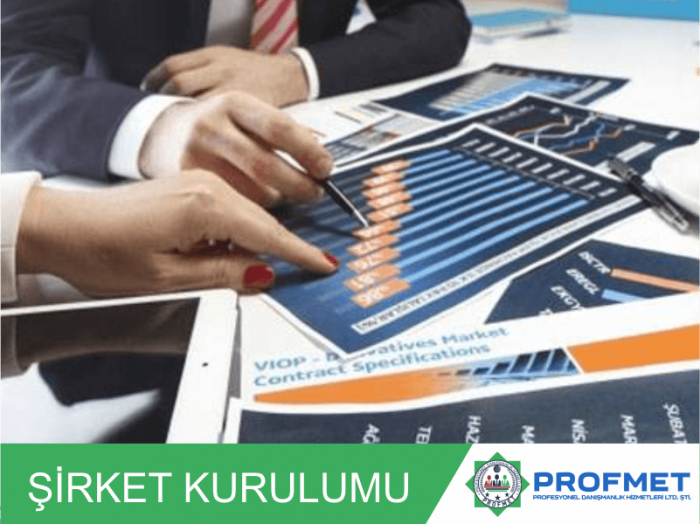 yabancılara şirket kurulumu