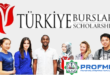 منحة دراسية للتعليم الجامعي في تركيا